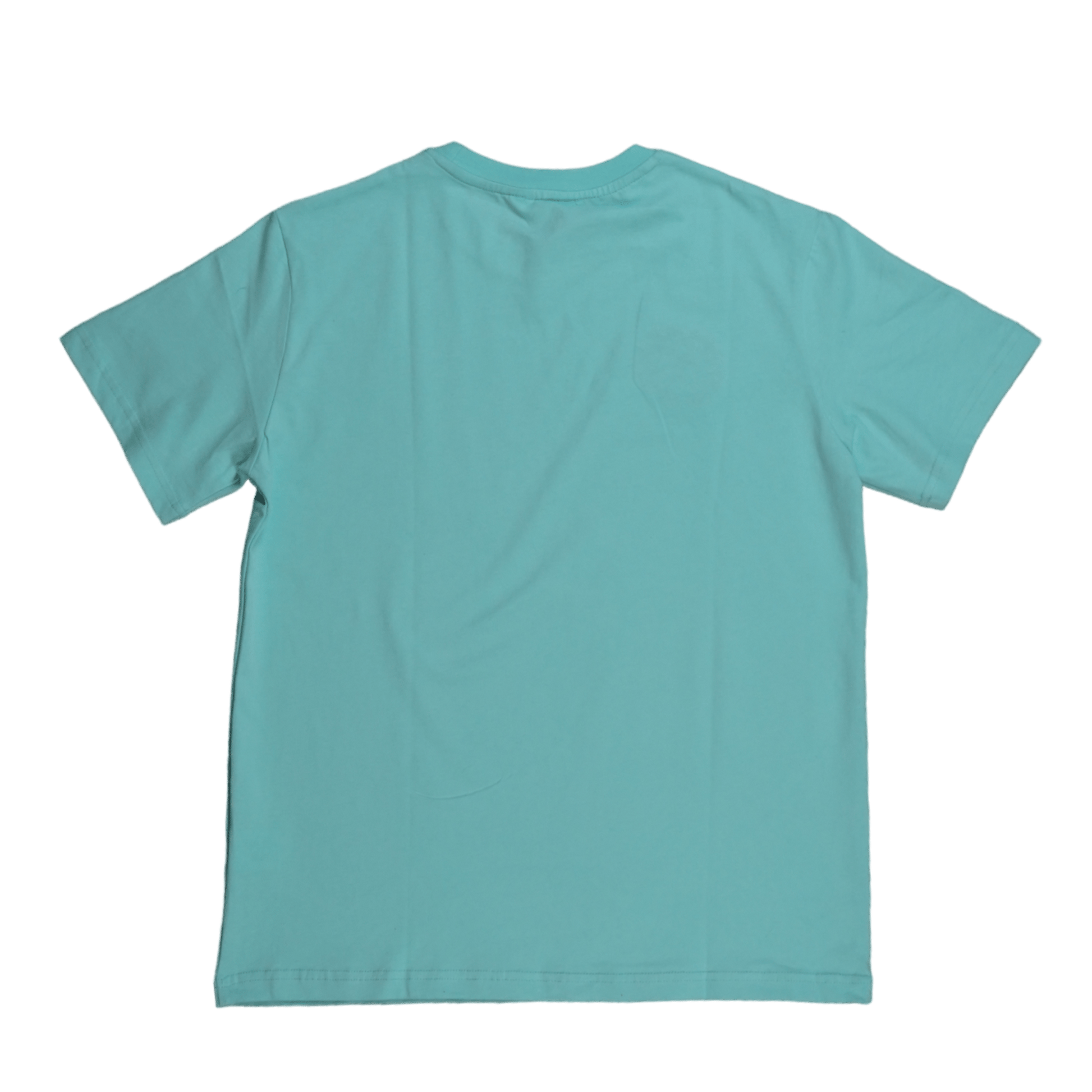Haint Blue T-shirt - SweetGrass Clothing Company
